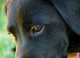 IMG_5727