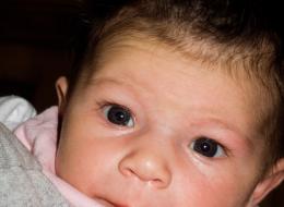 6-16-2009 1-18-04 PM