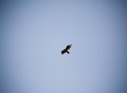 20090805-IMG_1247