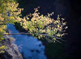20090805-IMG_1252
