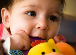 20091024-IMG_1854