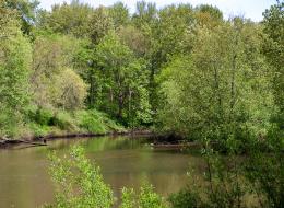 20100424-IMG_4063