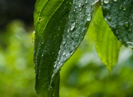 20100424-IMG_4068