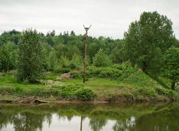 20100501-IMG_4549