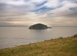 IMG_6769