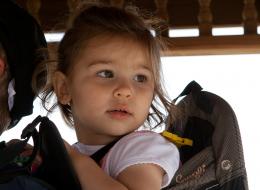 20100918-IMG_8048
