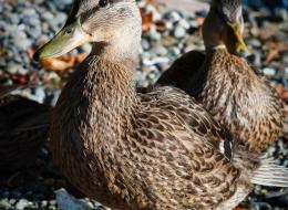 20100925-IMG_8415
