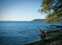 20100925-IMG_8429