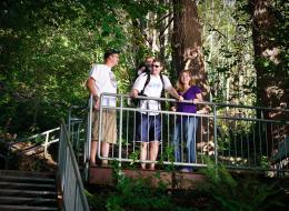 20100925-IMG_8441