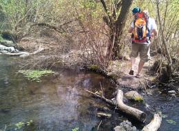 IMG_20110424_141508