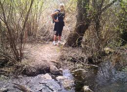 IMG_20110424_141605