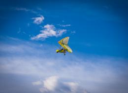 IMG_0539
